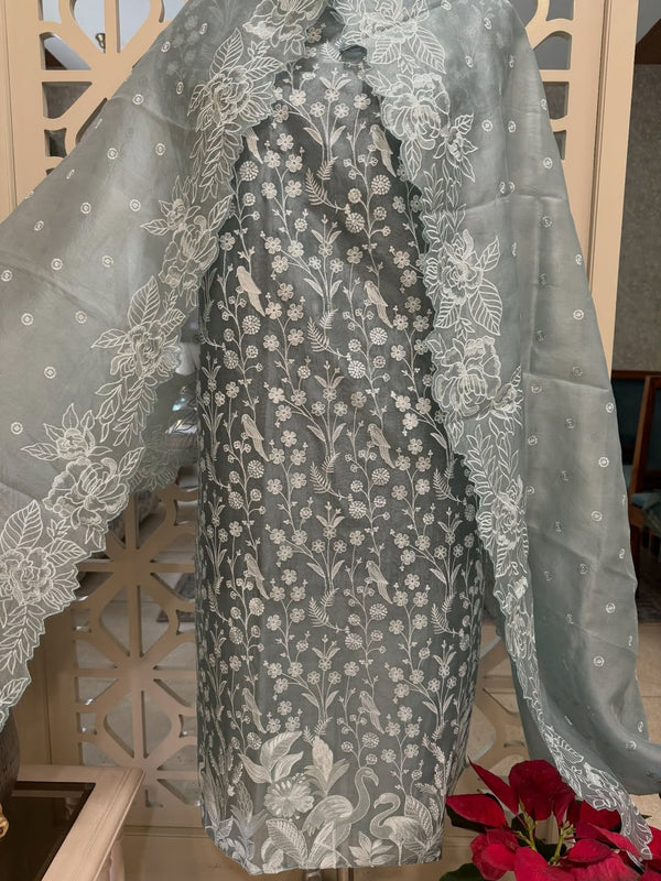 pure organza silk kurta set, with delicate self-embroidery | intricate borders and subtle booties