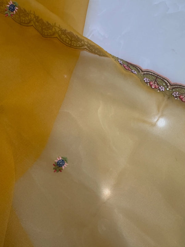 Pure mulchanderi kurta paired with fine organza dupatta