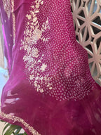 Pure Organza Thread Work Suit Set with Silk Organza Bandhani Dupatta