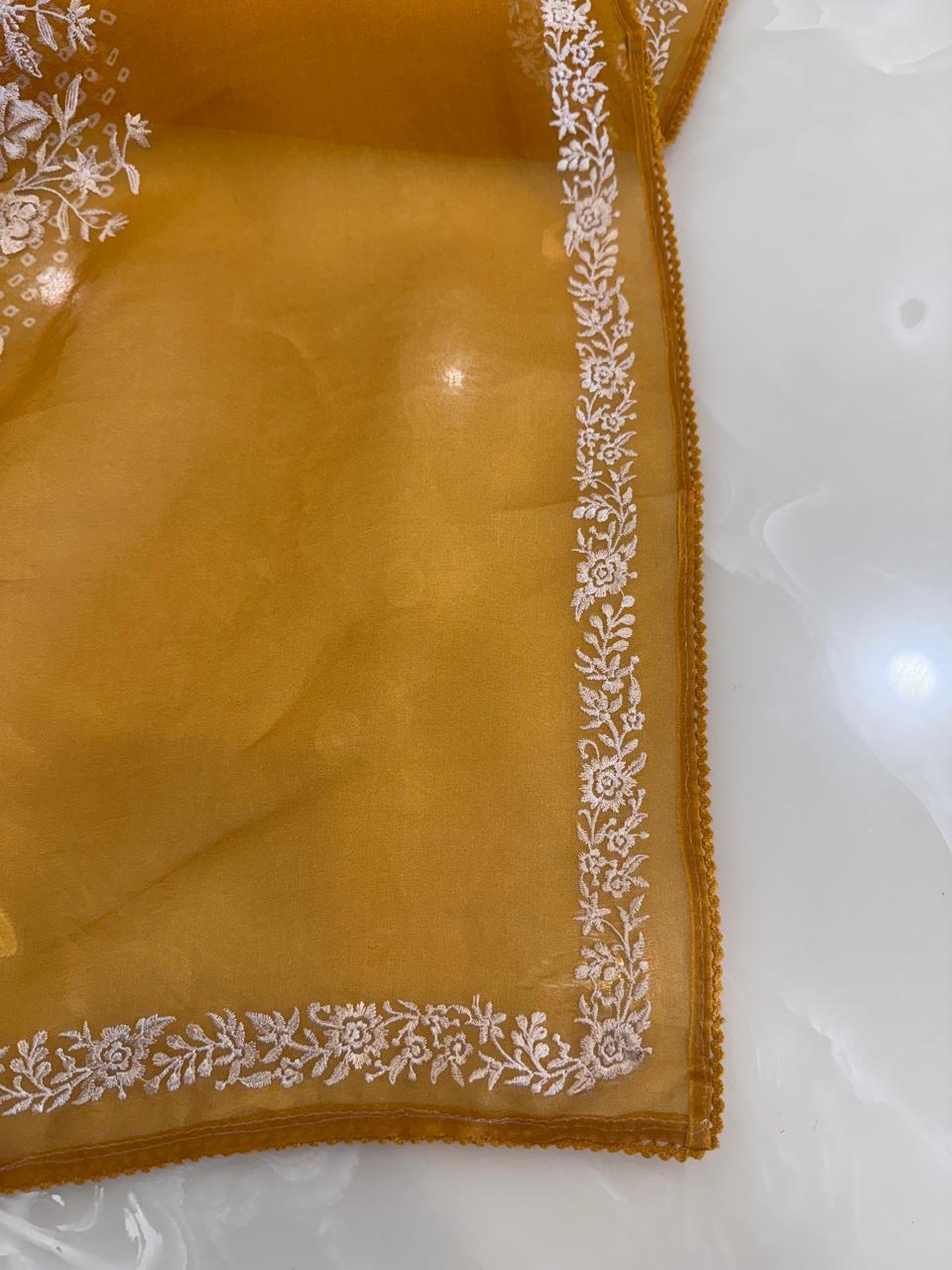 Pure Organza Thread Work Suit Set with Silk Organza Bandhani Dupatta