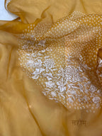 Pure Organza Thread Work Suit Set with Silk Organza Bandhani Dupatta