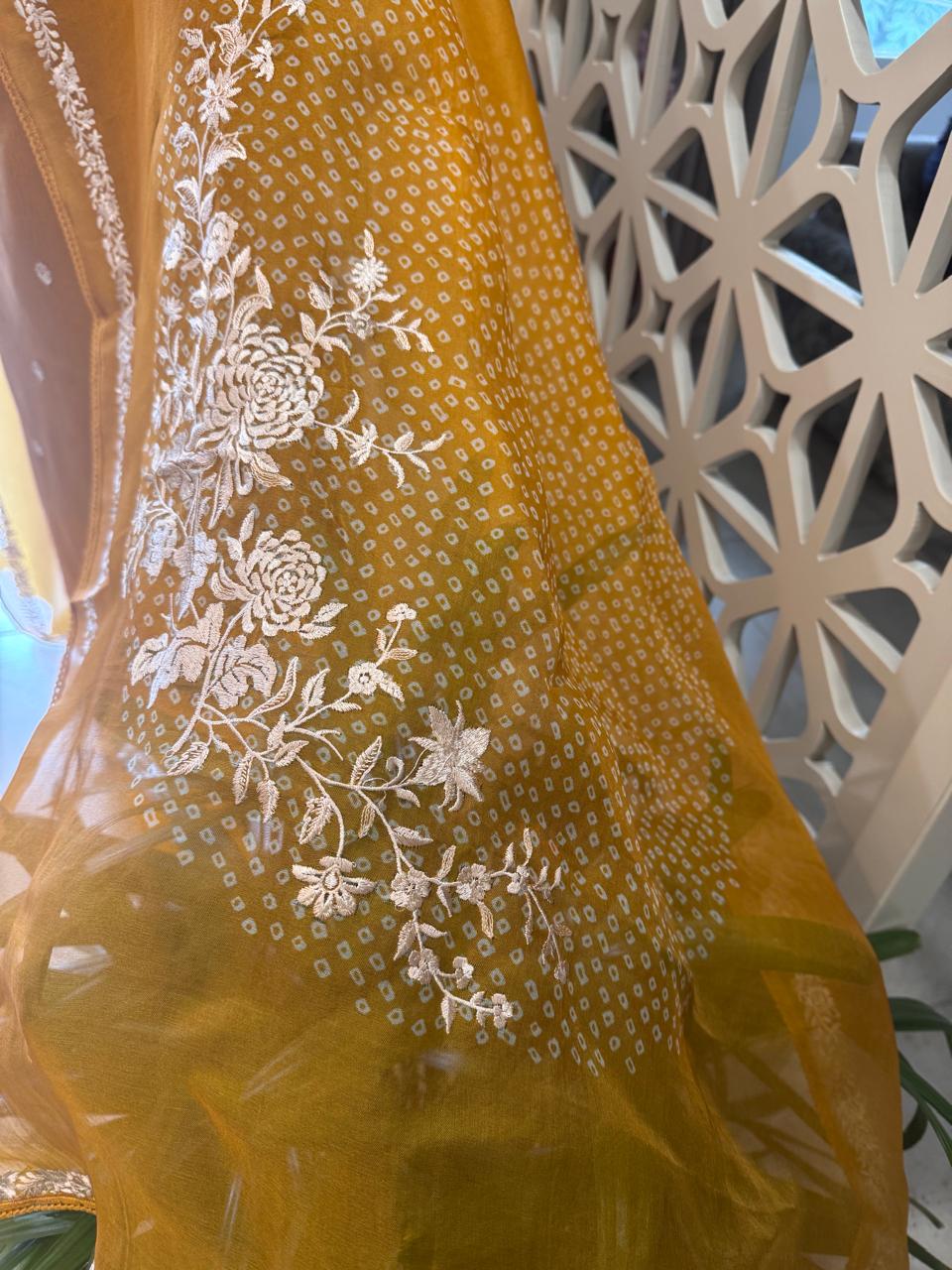 Pure Organza Thread Work Suit Set with Silk Organza Bandhani Dupatta